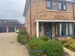 Thumbnail to rent in William Close, Welwyn Garden City