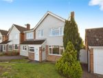 Thumbnail to rent in Hazel Grove, Braintree