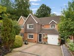 Thumbnail to rent in Colonel Stephens Way, Tenterden