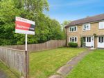 Thumbnail for sale in Deepdene, Kingswood, Basildon, Essex