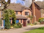 Thumbnail for sale in Forestlake Avenue, Hightown, Ringwood