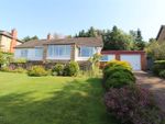 Thumbnail for sale in New Ridley Road, Stocksfield