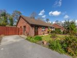 Thumbnail for sale in Pentre Close, Coed Eva, Cwmbran