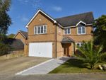Thumbnail for sale in Rushmere Rise, St. Leonards-On-Sea