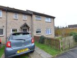 Thumbnail to rent in Cadhay Close, New Milton, Hampshire