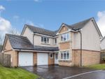 Thumbnail for sale in Primrose Avenue, Newton Mearns, Glasgow, East Renfrewshire