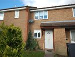 Thumbnail to rent in Mill Meadow, Kingsthorpe, Northampton