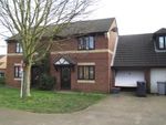Thumbnail to rent in Aster Road, Kettering