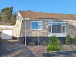 Thumbnail to rent in Roundyhill, Monifieth, Dundee