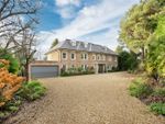 Thumbnail to rent in Orchard Way, Esher, Surrey