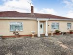 Thumbnail to rent in North Road, Hetton-Le-Hole, Houghton Le Spring