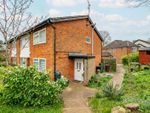 Thumbnail for sale in Briar Road, St. Albans, Hertfordshire