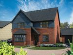Thumbnail to rent in "The Fern" at Campden Road, Lower Quinton, Stratford-Upon-Avon
