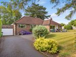 Thumbnail to rent in Elm Close, Leatherhead, Surrey