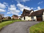 Thumbnail for sale in Golding Avenue, Marlborough, Wiltshire