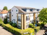 Thumbnail to rent in Lavender Road, Sutton