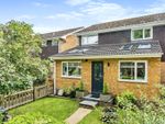 Thumbnail for sale in Shepherds Close, Bartley, Southampton, Hampshire