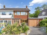 Thumbnail for sale in Maypole Drive, Chigwell, Essex