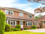 Thumbnail for sale in Ashmore Green, Thatcham, Berkshire