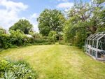 Thumbnail to rent in Guildford Road, Cranleigh