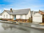 Thumbnail to rent in Molesworth Way, Holsworthy