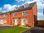 Thumbnail to rent in "Kingsville" at Cardamine Parade, Stafford