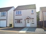 Thumbnail to rent in Hedgerow Drive, Larbert, Stirlingshire
