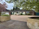 Thumbnail for sale in Stonehill Road, Headley Down, Bordon