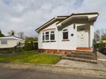 Thumbnail for sale in Elm Tree Park, Sheepway, Portbury, Bristol