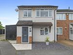 Thumbnail for sale in Crocus Way, Springfield, Chelmsford