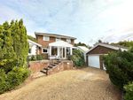 Thumbnail for sale in Hyde Tynings Close, Meads, Eastbourne, East Sussex