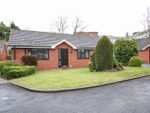 Thumbnail to rent in Convent Grove, Off Bawtry Road, Bessacarr, Doncaster