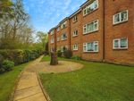 Thumbnail for sale in Holly Drive, Waterlooville