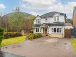 Thumbnail for sale in Willow Grove, Menstrie