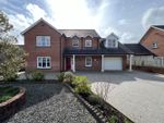 Thumbnail to rent in Glanarberth, Llechryd, Cardigan