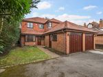 Thumbnail to rent in Castle Road, Weybridge