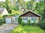 Thumbnail to rent in Pine Drive, Finchampstead, Wokingham, Berkshire