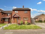 Thumbnail to rent in Haggars Mead, Forward Green, Stowmarket