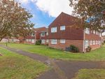 Thumbnail to rent in Beachcroft Place, Lancing