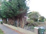 Thumbnail for sale in Winston Avenue, Ryde