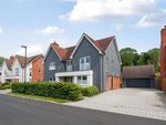 Thumbnail to rent in Oxlease Meadows, Romsey, Hampshire
