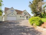 Thumbnail to rent in Seaway Lane, Torquay