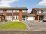 Thumbnail to rent in Turnstone, Longfield, Kent