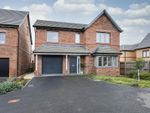 Thumbnail to rent in Park Hill View, Wakefield