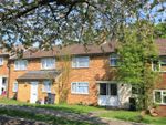 Thumbnail to rent in Holly Copse, Stevenage