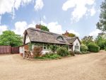 Thumbnail for sale in Upper Ifold, Dunsfold