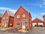 Thumbnail to rent in Halls Grove, Cressing, Braintree