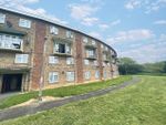 Thumbnail to rent in Pennymead, Harlow
