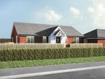 Thumbnail to rent in The Spires, Moreton On Lugg, Herefordshire