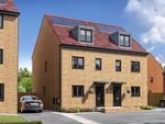 Thumbnail to rent in "Selset" at Bilton Grove, Hull